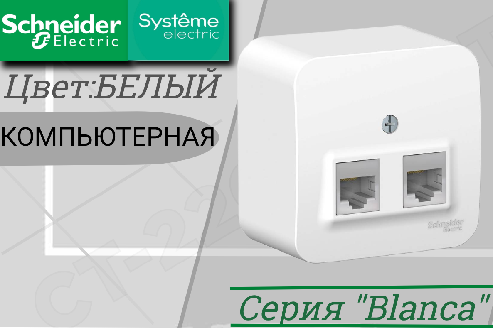 Розетка двойная компьютерная 2-м накладная Белая BLANCA RJ45 кат.5E ОП изолированная пластина Schneider Electric BLNIA045451