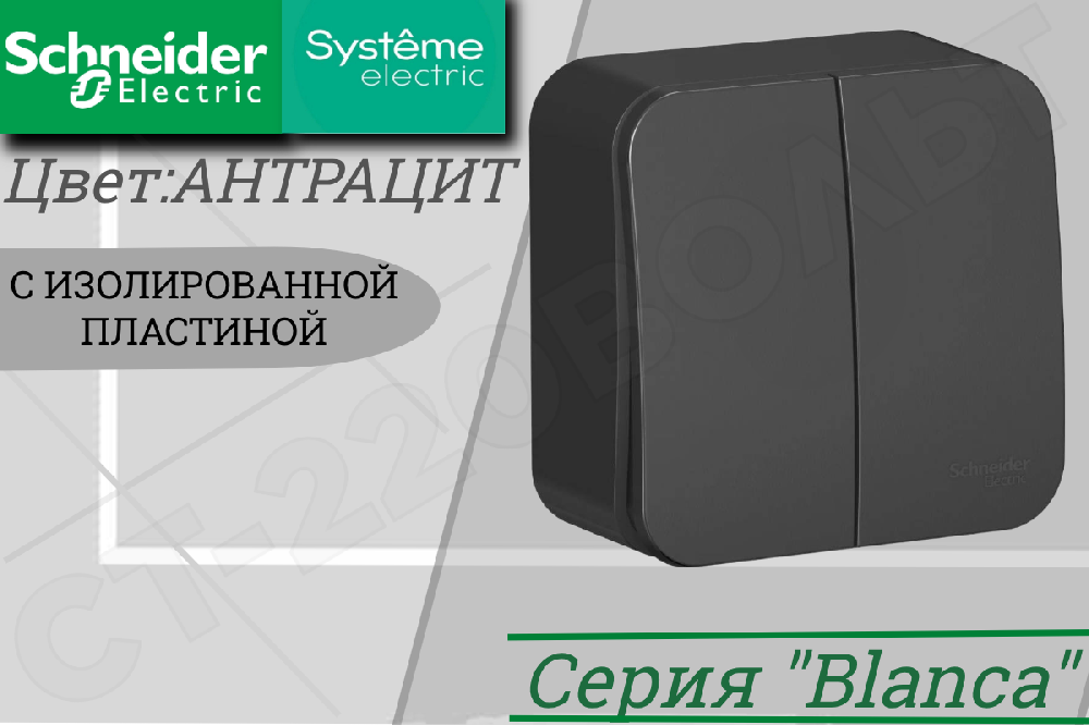 Выключатель двойной 2-м накладной Антрацит BLANCA 10А ОП IP20 наружный изолированная пластина двухклавишный Schneider Electric BLNVA105016