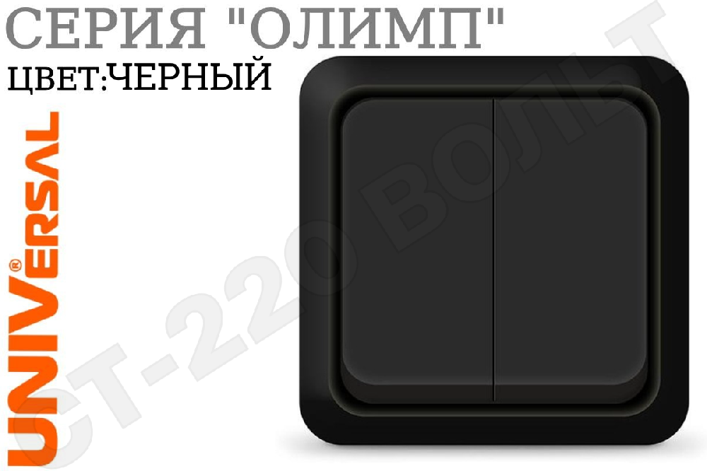 Выключатель двойной 2-м накладной Черный серия Олимп в сборе 10А ОП IP20 наружный изолированная пластина двухклавишный Universal 2213