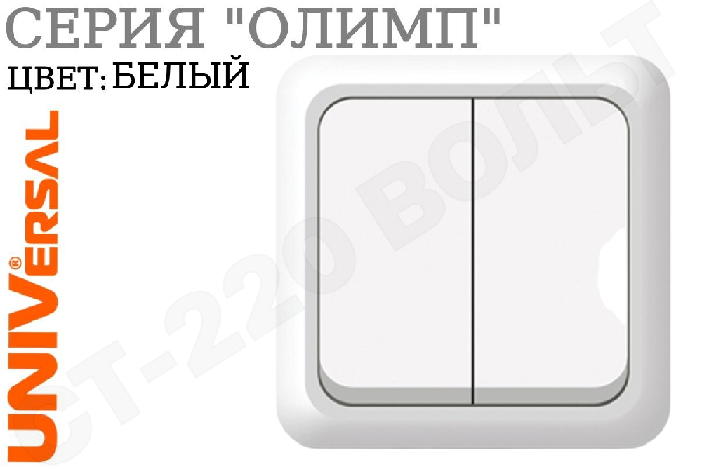 Выключатель двойной 2-м накладной Белый серия Олимп в сборе 10А ОП IP20 наружный изолированная пластина двухклавишный Universal О0023